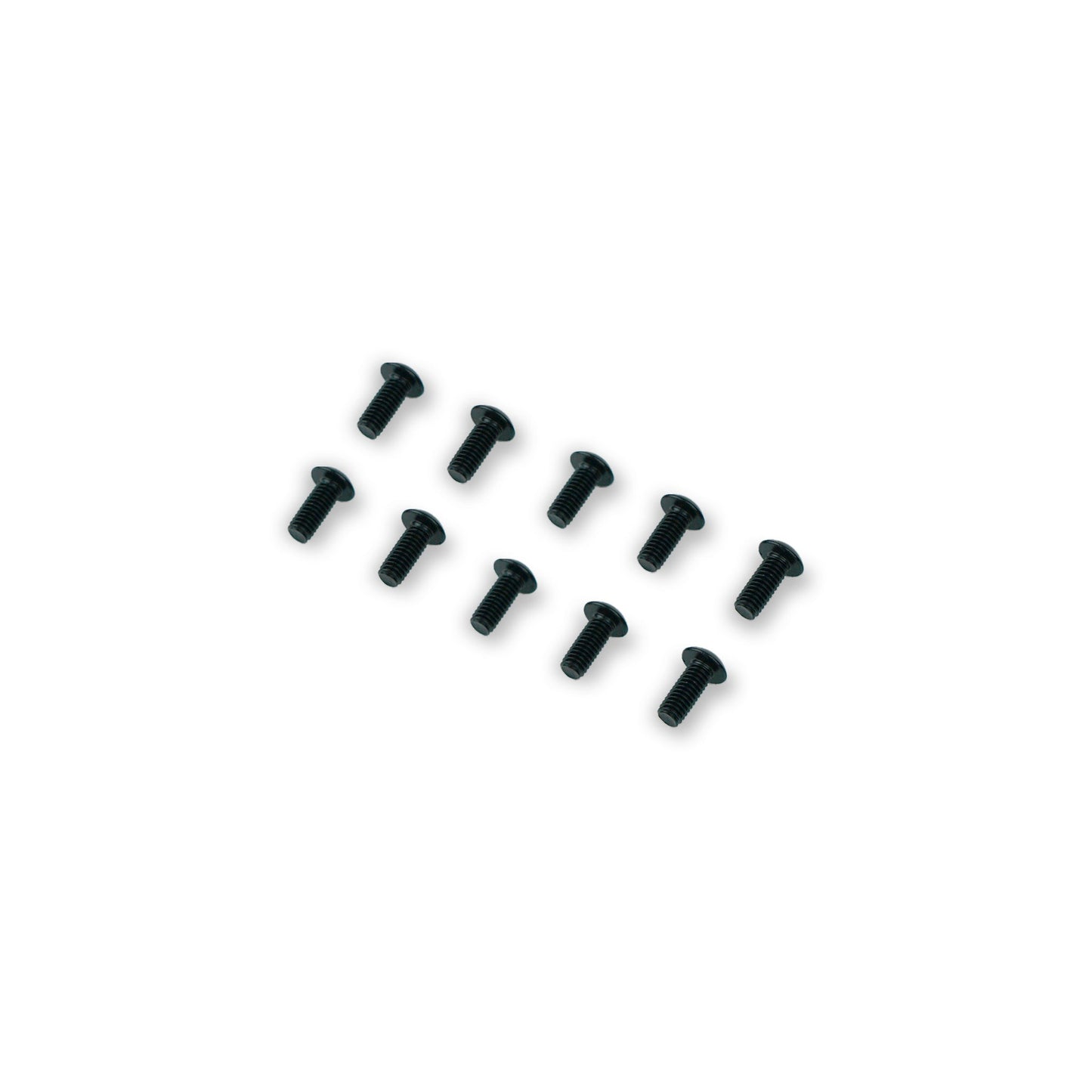 Spare Motor Plug Bolts (M4x10mm)