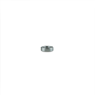 Stainless Steel Bearing