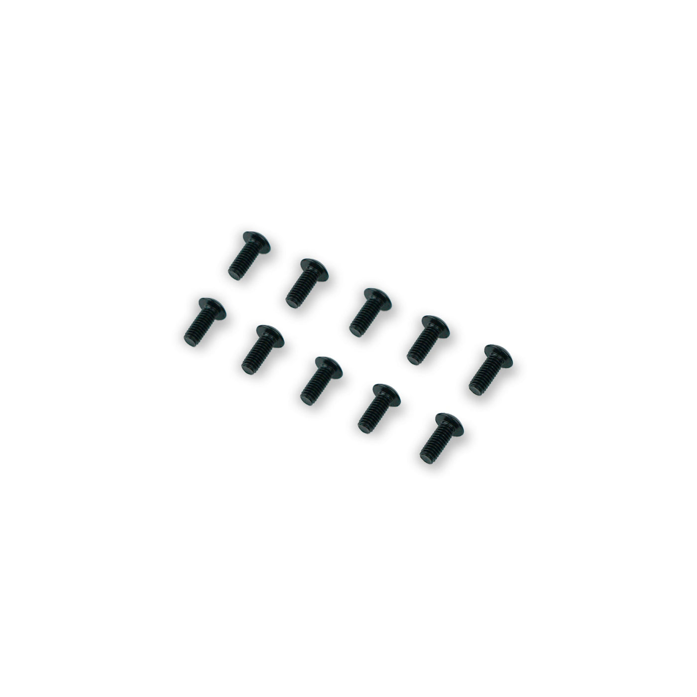 Spare Motor Plug Bolts (M4 10mm)